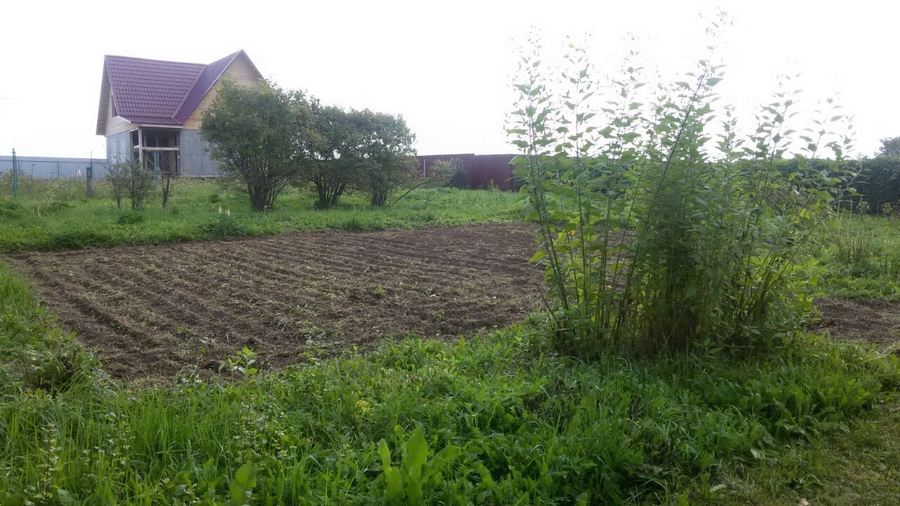 Дом в деревне Киселево. Огород
